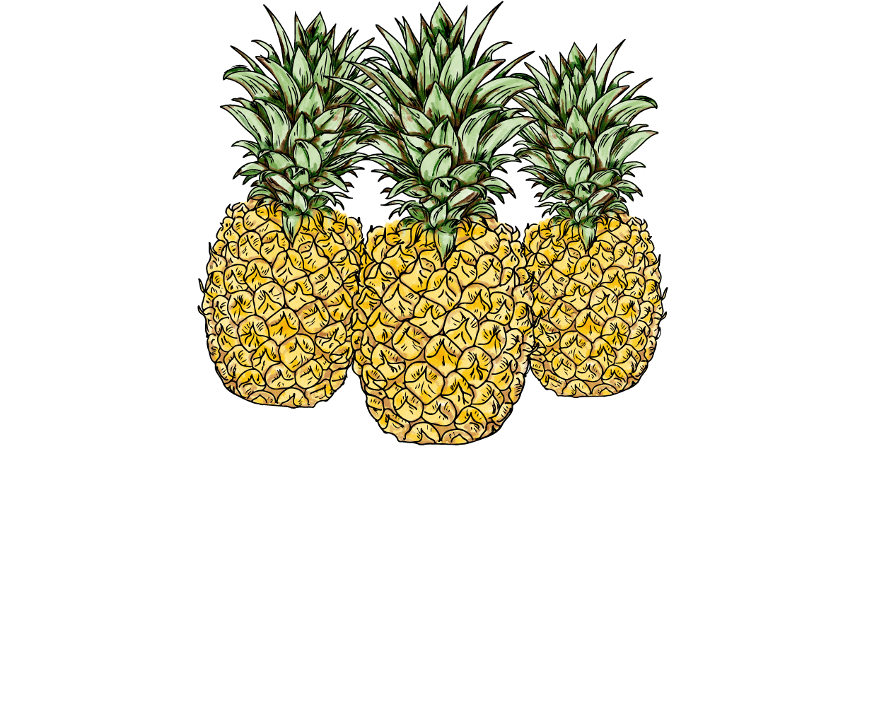 Venue hire pineapples lifestyle bar